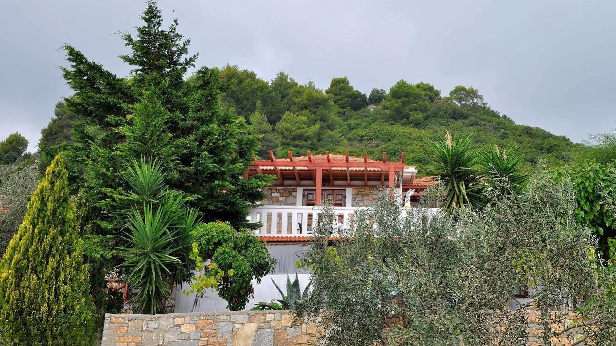 Anatoli Villa Στενή Βάλα Αλοννήσου Εξωτερικό φωτογραφία
